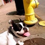 James Cooperman - @onistago - Instagram