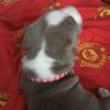 james copsey - @james.copsey3 - TikTok