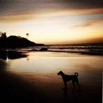 James Corby - @james_corby5 - Instagram