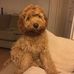 James Corby - Facebook