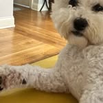 @james_cordiera - Instagram