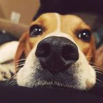 James Cornish - @james_cornish_ - Instagram