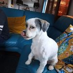 James A Cornwall - @jimmy_28966 - Instagram