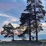 James Cossette - @cossette3239 - Instagram
