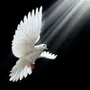 JAMES COUEY - @james.couey - TikTok