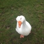James Coulter - @james001coulter - Instagram