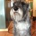 Jim Counce - Facebook