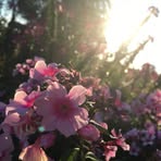 James Courter - Facebook