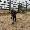 james coyle - @james.coyle19 - TikTok
