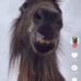 James Craggs - Facebook