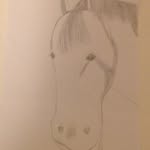 James Craggs. - @horse__dude - Instagram