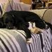 James Craggs - Facebook