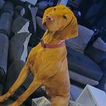 James Cranfield - @crammy6240 - Instagram