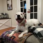 James Cranmer - @candy_cranmer - Instagram