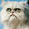 James Creager267 - @jamescreager267 - TikTok