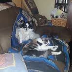 Jim Crecelius - Facebook
