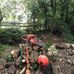 James Cree - Facebook