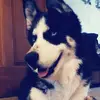 jamescribbs78 - @user574936391 - TikTok