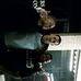 James Crigler - Facebook