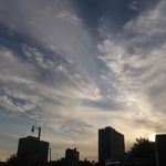 James Crisci - @james_crisci - Instagram