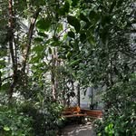 James Crofton - @joenevrabie - Instagram