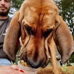 James Cromarty - @jamescromarty - Instagram