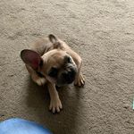 James Crombie - @crombie.james - Instagram