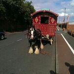 James Crossling - @crosslingjames - Instagram