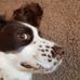 James Crossman - Facebook