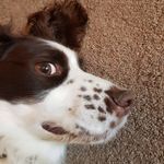James Crossman - @jamescrossman007 - Instagram