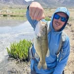 James crosswell - @james.crosswell - Instagram