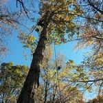 James Crouch - @winktheman1967 - Instagram