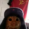 James Crow - @youtookmeseriously - TikTok