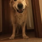 James Crudden - @jamesmcrudden317 - Instagram