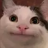 JamesCrumble - @jamescrumble_ - TikTok