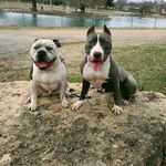 James Culbreath - @james.culbreath.965 - Instagram