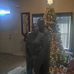 James Cullum - Facebook