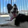James Cure - @james.cureee - TikTok