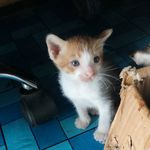 no_name - @jamescurent142536 - Instagram