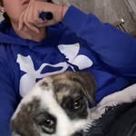 James - @jamescurtsinger2021 - Instagram