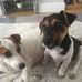 James Cushion - Facebook