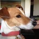 James Cuthbertson - @james_cuthbertson - Instagram