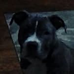 James cuthbertson - @cuthbertsonjr345 - Instagram