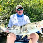 Dave Ferrell - @jamesdavidferrell - Instagram