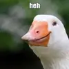 James Dao - @notjamesdao - TikTok