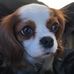 James Dabruzzi - Facebook