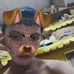 James Dades - Facebook