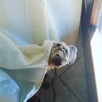 James Dalbec - @dalbec_james - Instagram