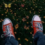 James Dalessandro - @newengrabas - Instagram