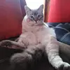 James Damián Garcìa - @james.dami_11 - TikTok